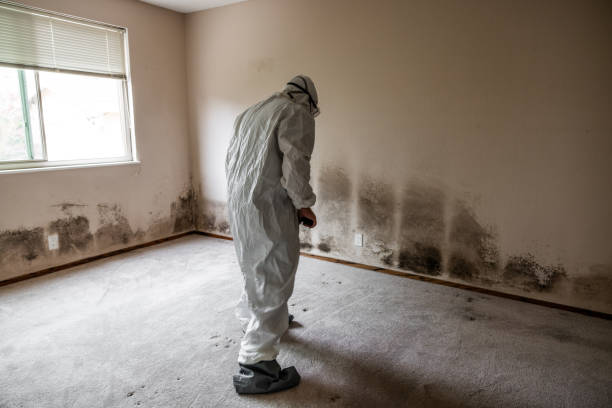 Forensic Mold Investigation in Malvern, AL